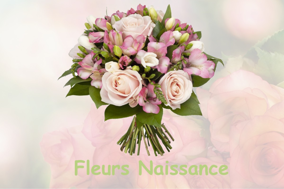 fleurs naissance FERRIERE-LA-GRANDE